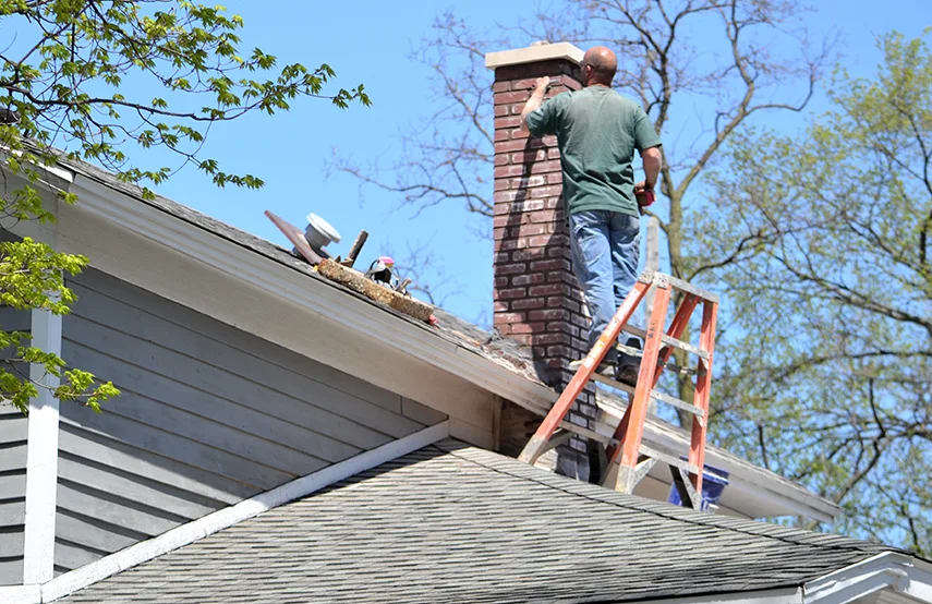 Chimney & Fireplace Inspections Services in Reisterstown, MD